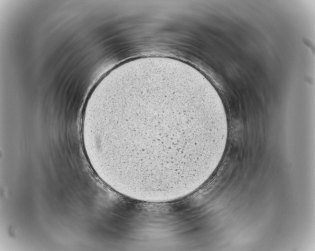 X0000095920856200802011211