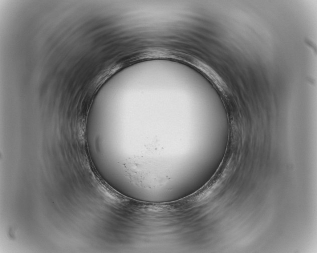 X0000095920857200802011211