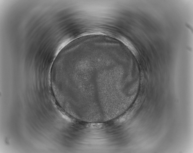 X0000095920858200802011211