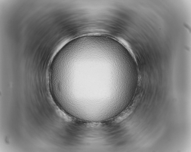 X0000095920859200802011211