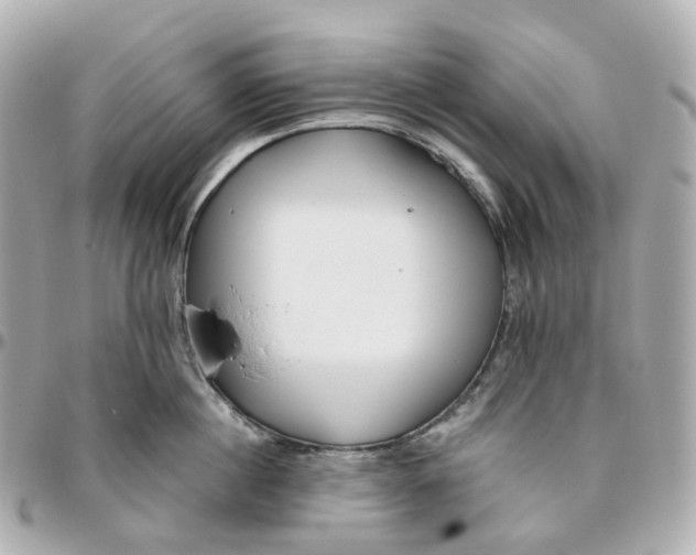 X0000095920860200802011211