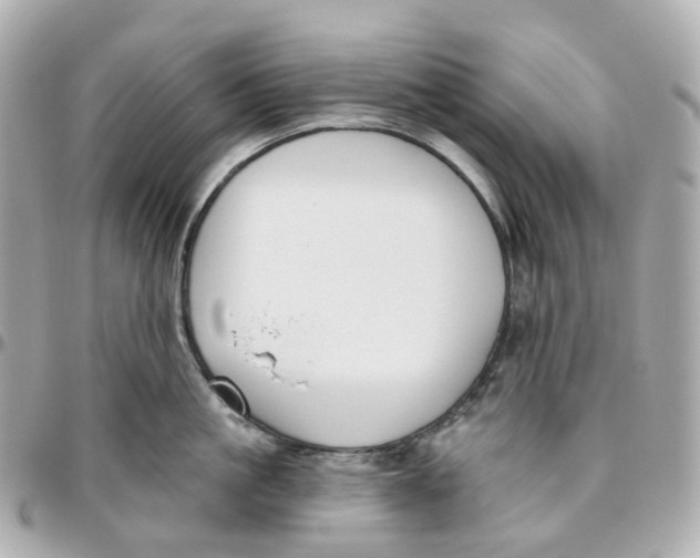 X0000095920861200802011211