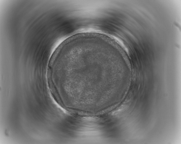 X0000095920863200802011211