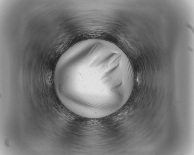 X0000095920867200802011211