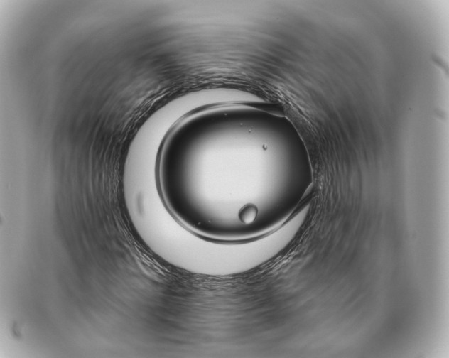 X0000095920868200802011211