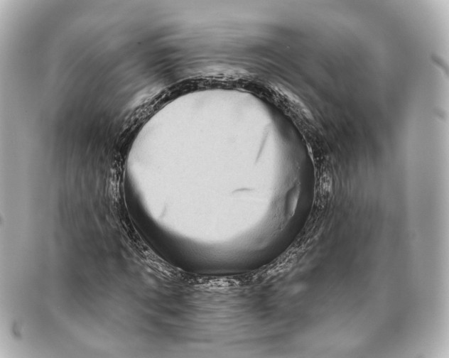 X0000095920869200802011211