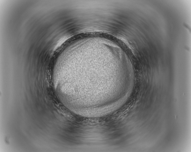 X0000095920871200802011211