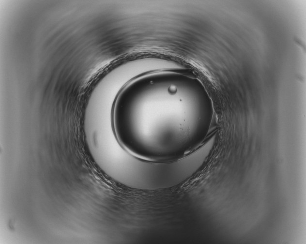 X0000095920872200802011210