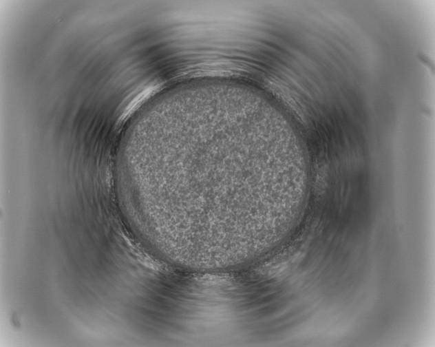 X0000095920874200802011210