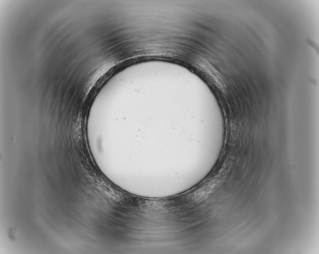 X0000095920875200802011210