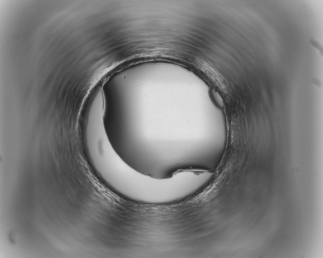 X0000095920876200802011210