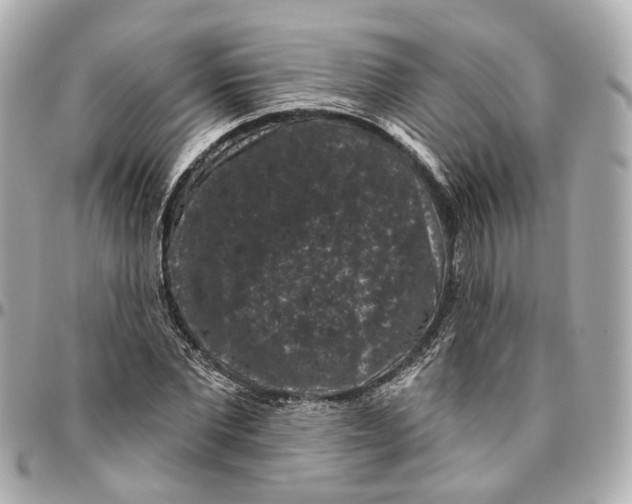 X0000095920877200802011210