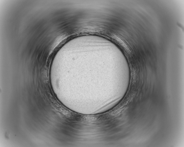 X0000095920878200802011210