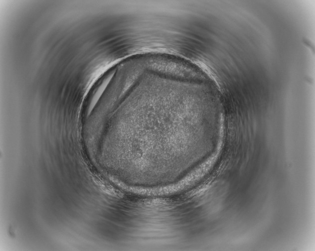 X0000095920879200802011210