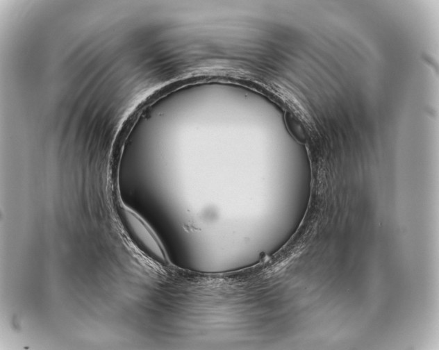 X0000095920880200802011210