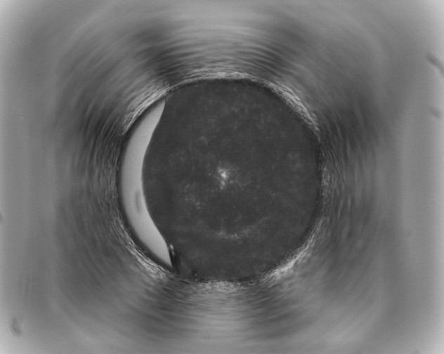 X0000095920881200802011210