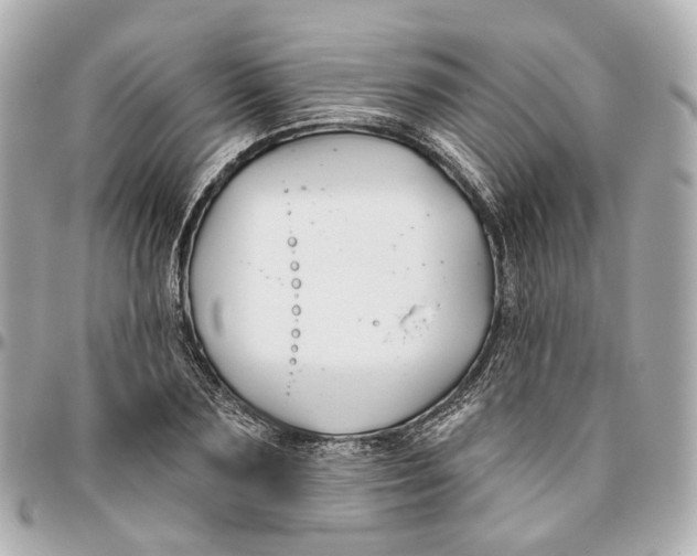 X0000095920883200802011210