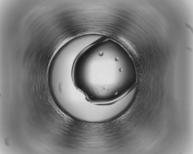 X0000095920884200802011210