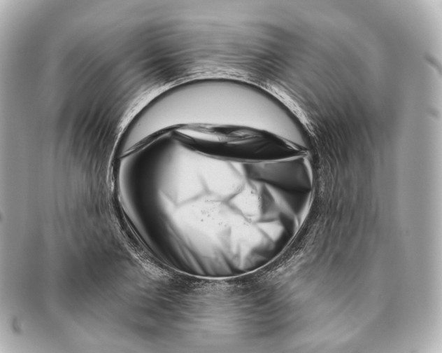 X0000095920885200802011210