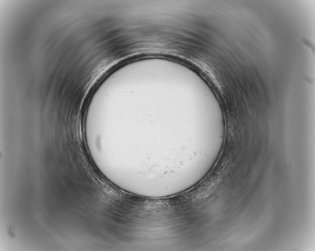 X0000095920887200802011210