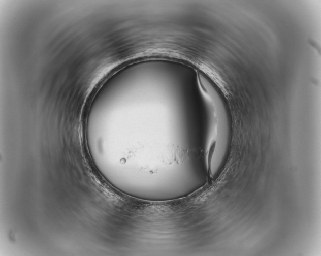 X0000095920888200802011210