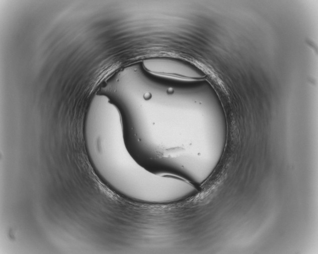 X0000095920889200802011210