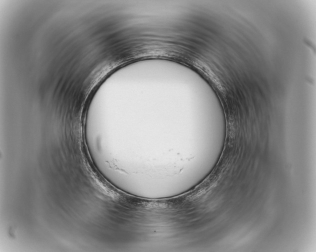 X0000095920890200802011210