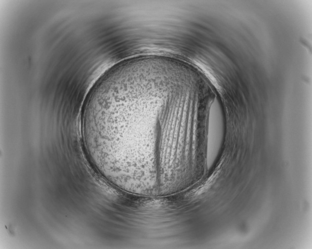 X0000095920891200802011210