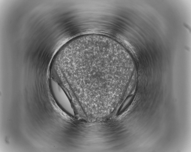 X0000095920892200802011210