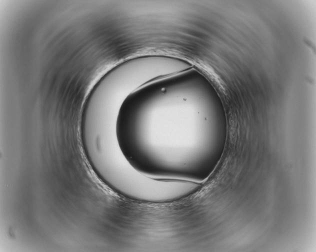 X0000095920896200802011210