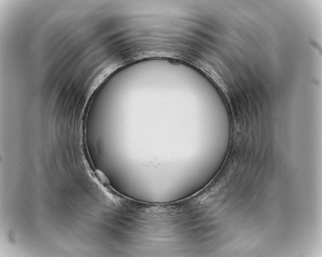 X0000095920898200802011210