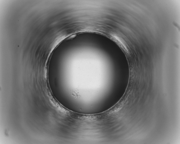 X0000095920900200802011210