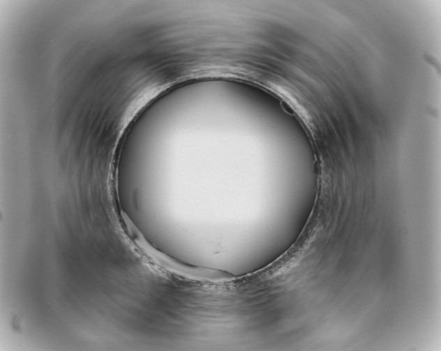 X0000095920901200802011210