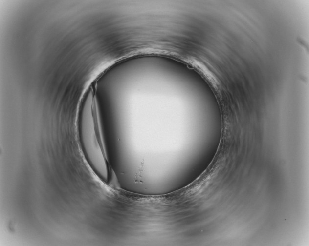 X0000095920902200802011210