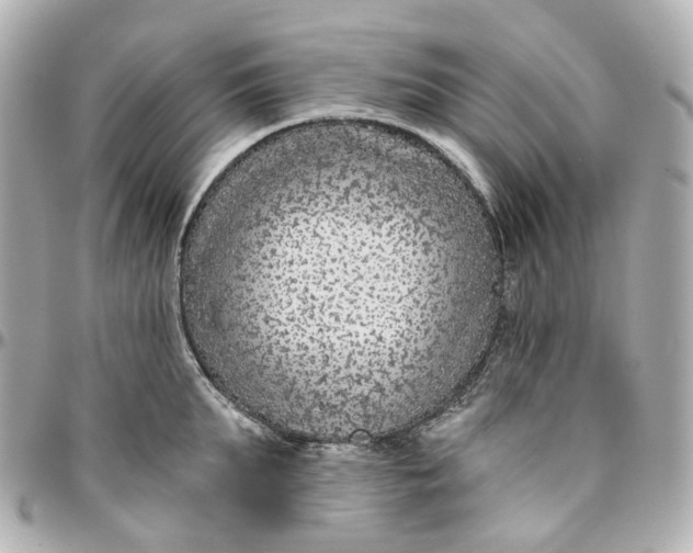 X0000095920903200802011210