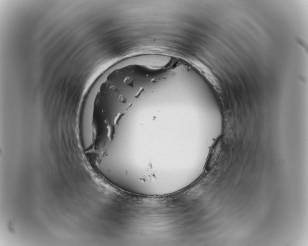 X0000095920904200802011210