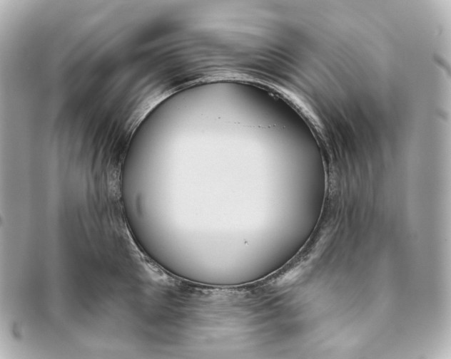 X0000095920905200802011210