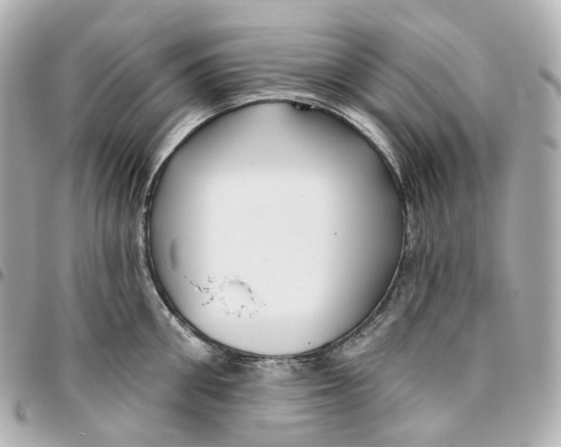 X0000095920906200802011210