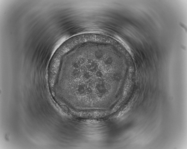 X0000095920907200802011210