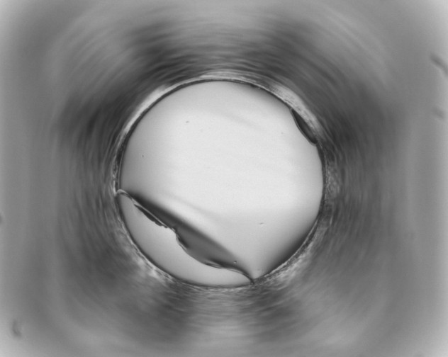 X0000095920908200802011210