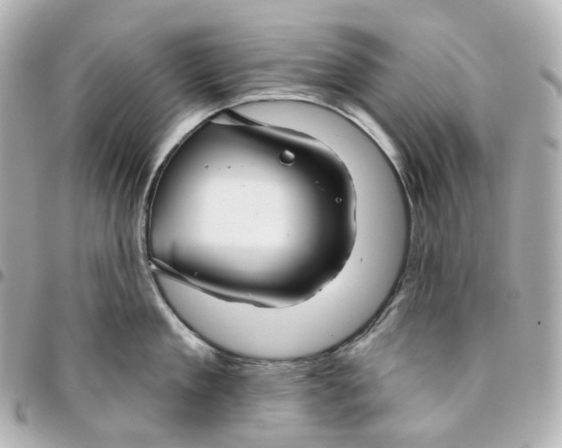 X0000095920909200802011210