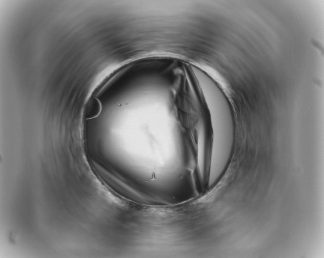 X0000095920910200802011210