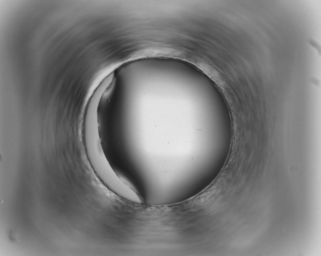 X0000095920912200802011210