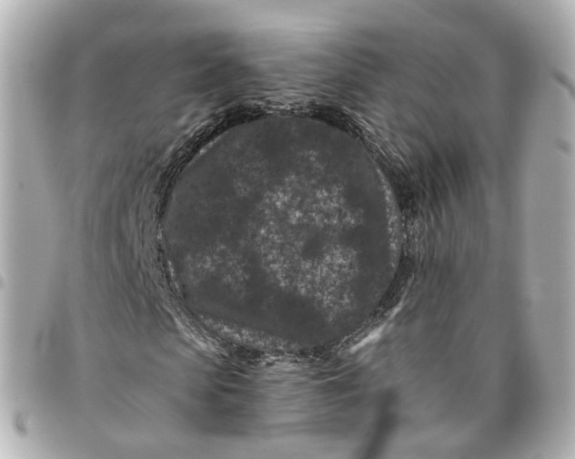 X0000095920913200802011209