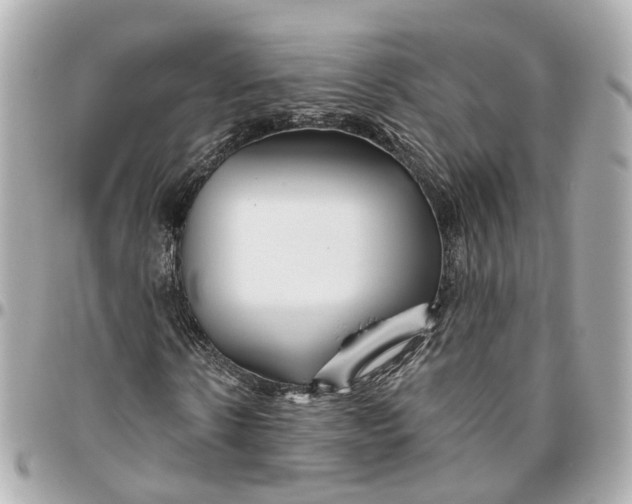 X0000095920914200802011209