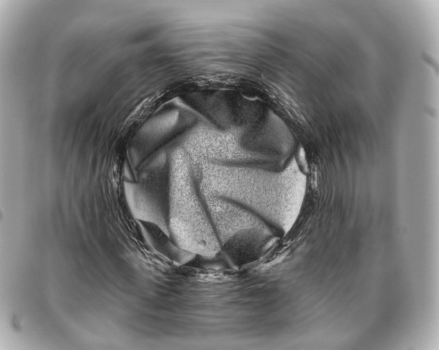 X0000095920915200802011209