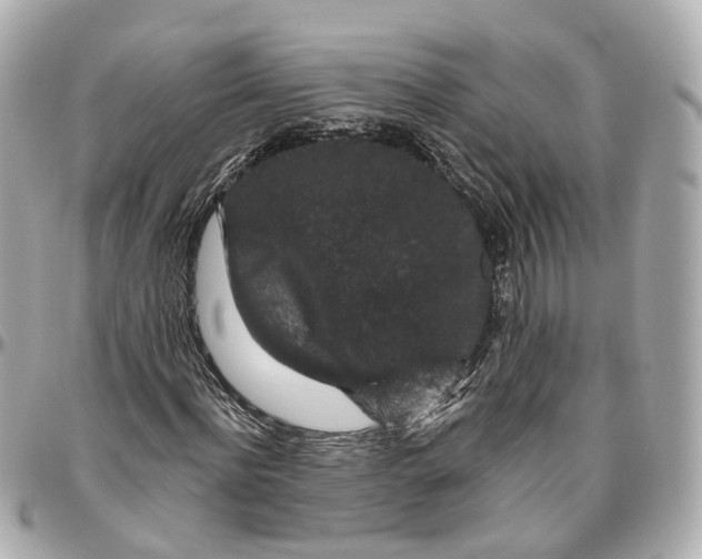 X0000095920916200802011209