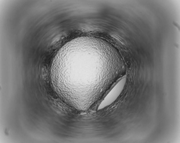 X0000095920917200802011209