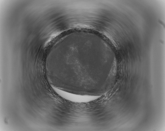 X0000095920919200802011209