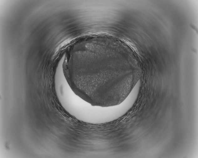 X0000095920920200802011209